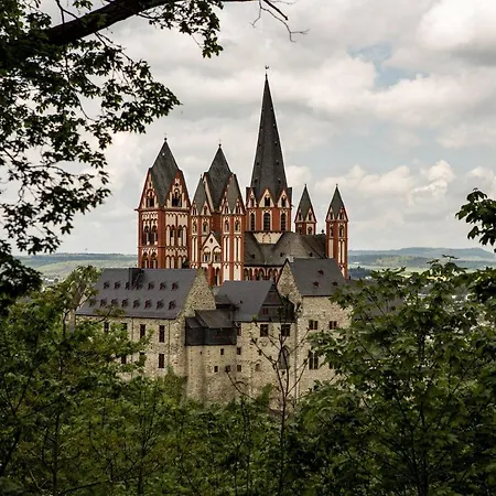 Casa Parkview - Relax & Chill - Perfect For Business Travel, Weekend Trip, Family&friends, Dogs Lover, Romance, Layover Or Longstay *