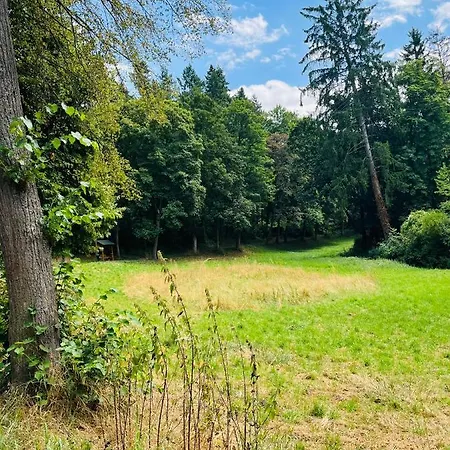 Casa Parkview - Relax & Chill - Perfect For Business Travel, Weekend Trip, Family&friends, Dogs Lover, Romance, Layover Or Longstay Apartmán *