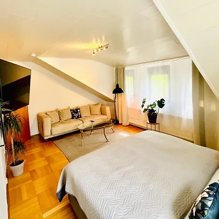 Casa Parkview - Relax & Chill - Perfect For Business Travel, Weekend Trip, Family&friends, Dogs Lover, Romance, Layover Or Longstay