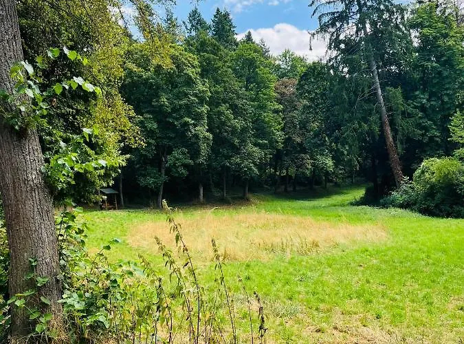 Casa Parkview - Relax & Chill - Perfect For Business Travel, Weekend Trip, Family&friends, Dogs Lover, Romance, Layover Or Longstay Appartamento *