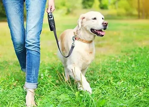 Casa Parkview - Relax & Chill - Perfect For Business Travel, Weekend Trip, Family&friends, Dogs Lover, Romance, Layover Or Longstay *